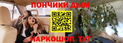 индика Краснознаменск