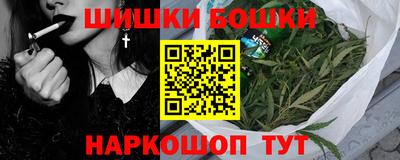 индика Краснознаменск