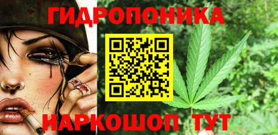 индика Краснознаменск