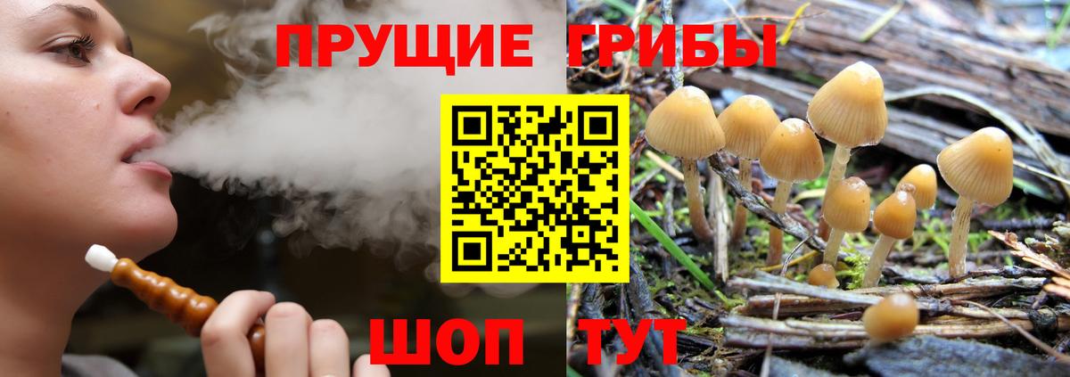 Псилоцибиновые грибы MAGIC MUSHROOMS  Вход с VPN  Галлюциногенные грибы Magic Shrooms  Удомля 